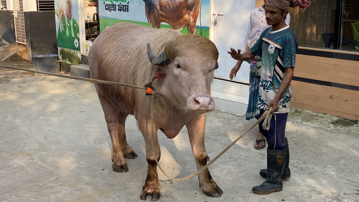 ডোনাল্ড ট্রাম্প